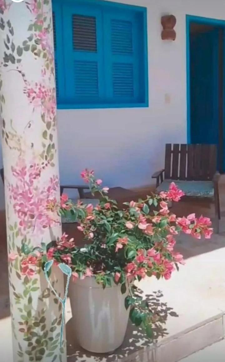 Recidencial Vila Pura Vida Canoa Quebrada Dış mekan fotoğraf